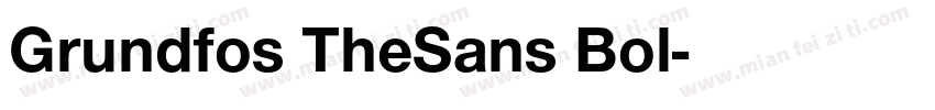 Grundfos TheSans Bol字体转换
